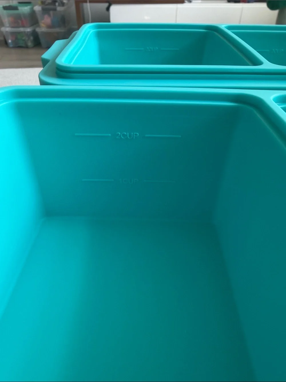Teal Silicone Freezer Tray - 2 Cup (500ml)